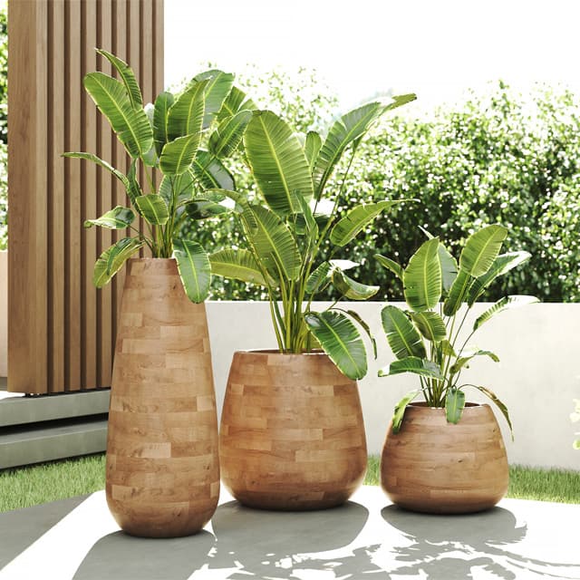 Outdoor Elements